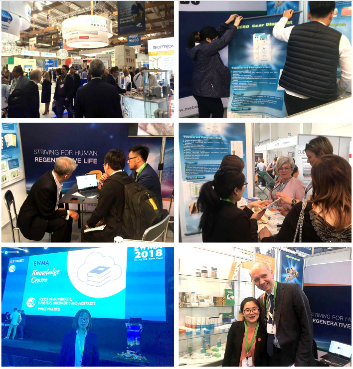 zoty��ŷ��(�й����޹�˾)�ٷ���վ