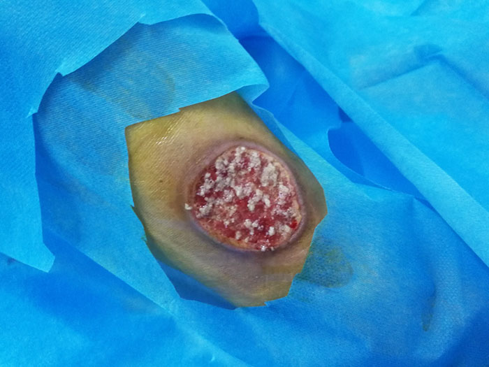 zoty��ŷ��(�й����޹�˾)�ٷ���վ