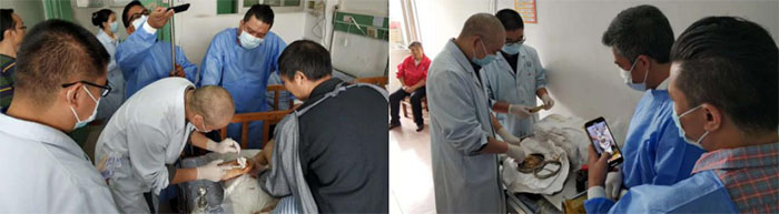 zoty��ŷ��(�й����޹�˾)�ٷ���վ