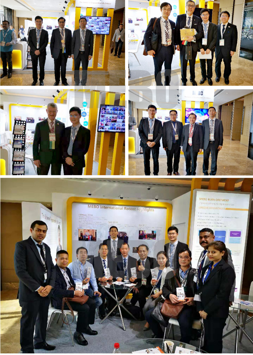 zoty��ŷ��(�й����޹�˾)�ٷ���վ