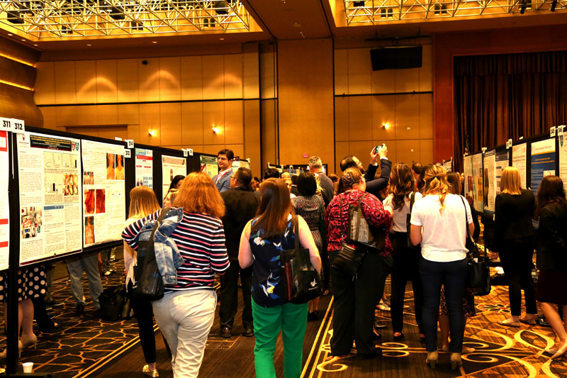 zoty��ŷ��(�й����޹�˾)�ٷ���վ