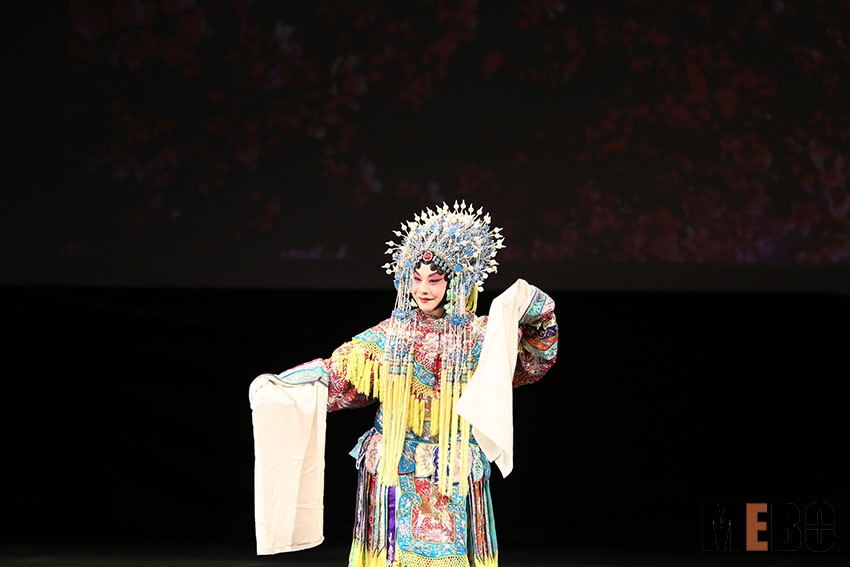 zoty��ŷ��(�й����޹�˾)�ٷ���վ