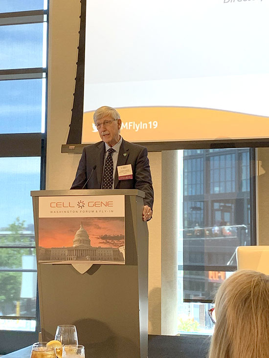 zoty��ŷ��(�й����޹�˾)�ٷ���վ