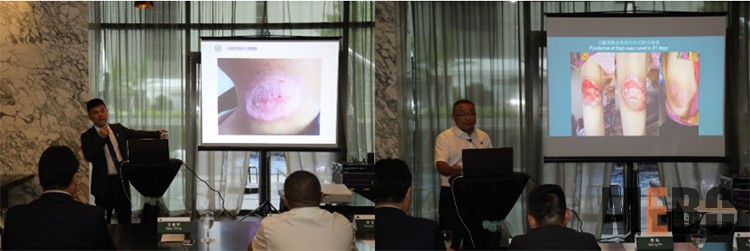 zoty��ŷ��(�й����޹�˾)�ٷ���վ