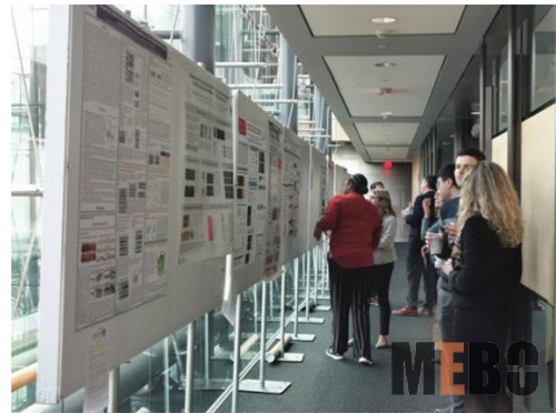 zoty��ŷ��(�й����޹�˾)�ٷ���վ