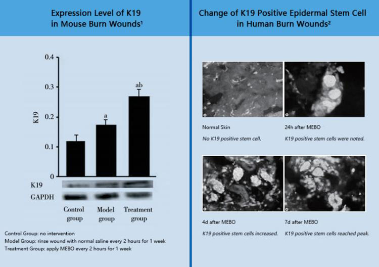 zoty��ŷ��(�й����޹�˾)�ٷ���վ