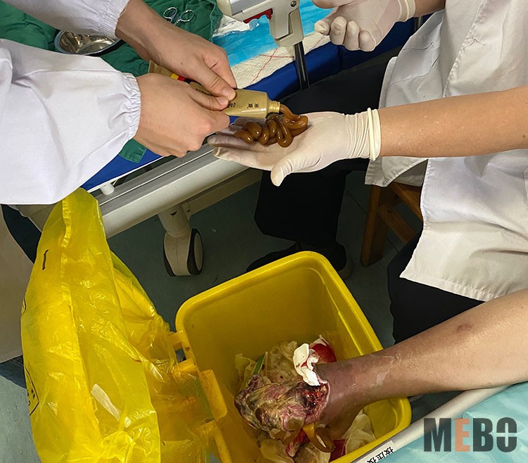 zoty��ŷ��(�й����޹�˾)�ٷ���վ