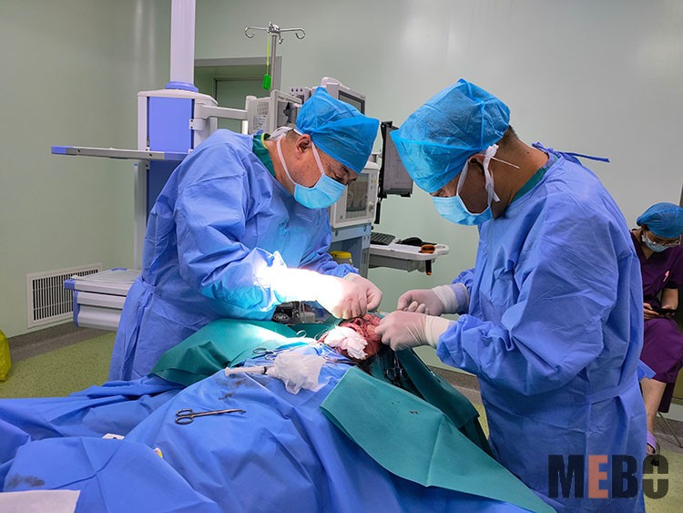 zoty��ŷ��(�й����޹�˾)�ٷ���վ