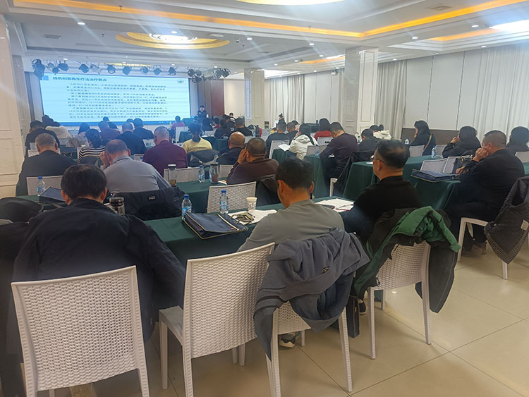 zoty��ŷ��(�й����޹�˾)�ٷ���վ