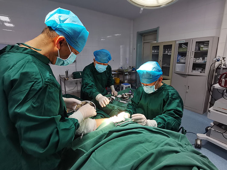 zoty��ŷ��(�й����޹�˾)�ٷ���վ