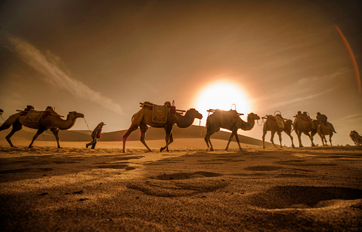 zotyŷ һһ𡱽ѵƽ̨