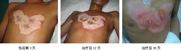 zoty��ŷ��(�й����޹�˾)�ٷ���վ