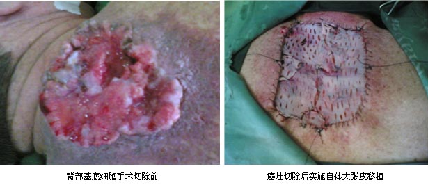 zoty��ŷ��(�й����޹�˾)�ٷ���վ