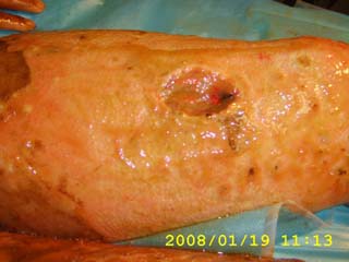 zoty��ŷ��(�й����޹�˾)�ٷ���վ