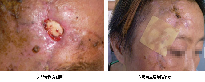 zoty��ŷ��(�й����޹�˾)�ٷ���վ