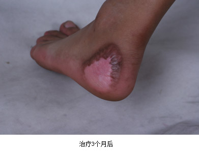 zoty��ŷ��(�й����޹�˾)�ٷ���վ