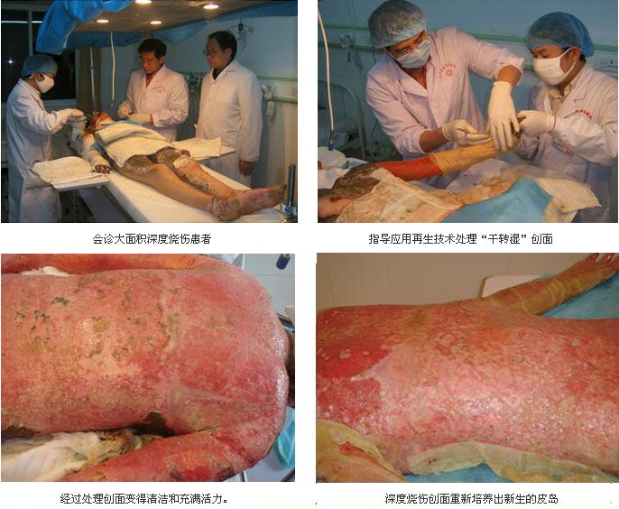 zoty��ŷ��(�й����޹�˾)�ٷ���վ