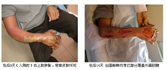 zoty��ŷ��(�й����޹�˾)�ٷ���վ