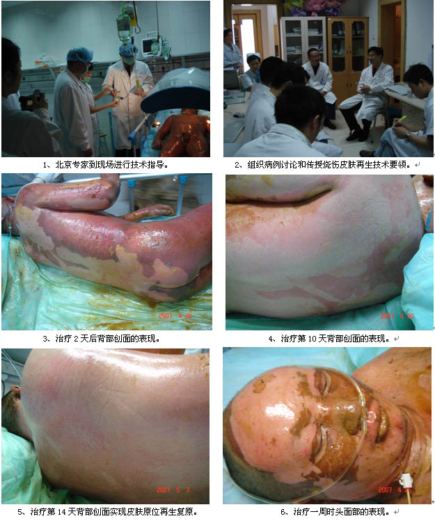 zoty��ŷ��(�й����޹�˾)�ٷ���վ