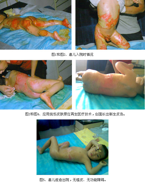 zoty��ŷ��(�й����޹�˾)�ٷ���վ