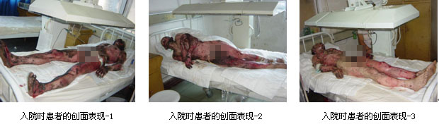 zoty��ŷ��(�й����޹�˾)�ٷ���վ