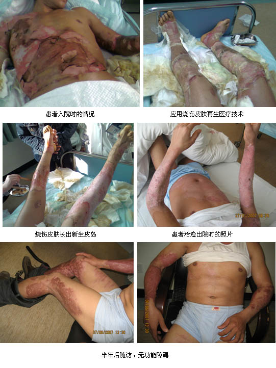 zoty��ŷ��(�й����޹�˾)�ٷ���վ