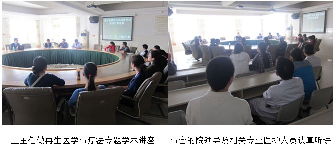 zoty��ŷ��(�й����޹�˾)�ٷ���վ