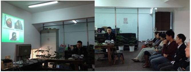 zoty��ŷ��(�й����޹�˾)�ٷ���վ