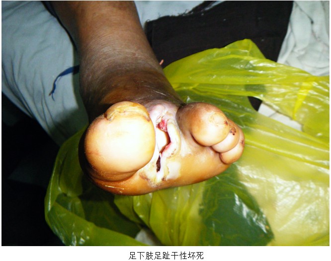 zoty��ŷ��(�й����޹�˾)�ٷ���վ