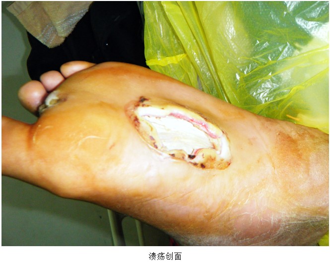 zoty��ŷ��(�й����޹�˾)�ٷ���վ