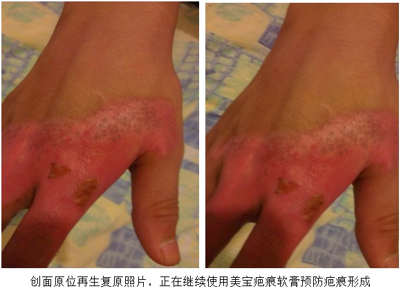 zoty��ŷ��(�й����޹�˾)�ٷ���վ