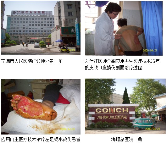zoty中欧·(中国有限公司)官方网站