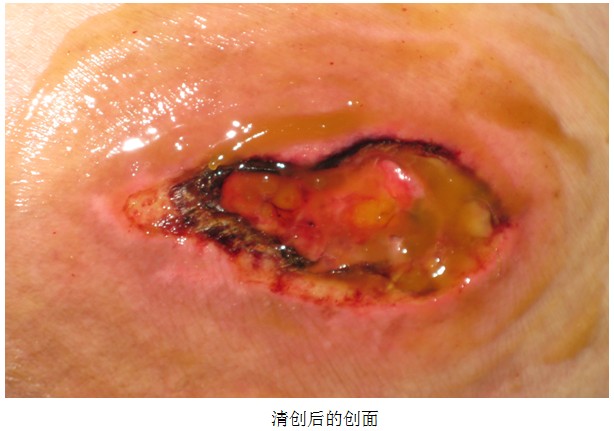 zoty��ŷ��(�й����޹�˾)�ٷ���վ