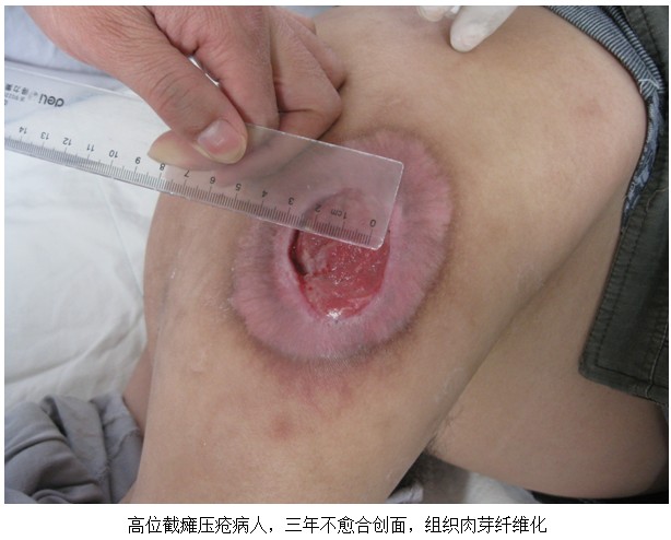 zoty��ŷ��(�й����޹�˾)�ٷ���վ