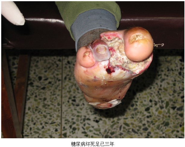 zoty��ŷ��(�й����޹�˾)�ٷ���վ