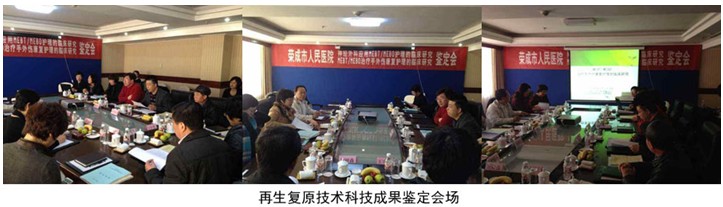 zoty��ŷ��(�й����޹�˾)�ٷ���վ