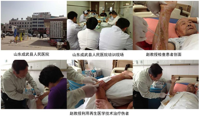 zoty��ŷ��(�й����޹�˾)�ٷ���վ