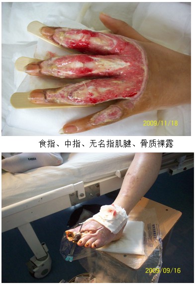 zoty中欧·(中国有限公司)官方网站