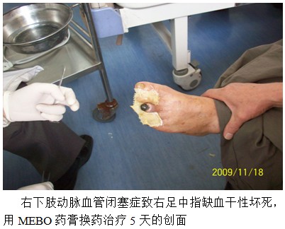 zoty中欧·(中国有限公司)官方网站
