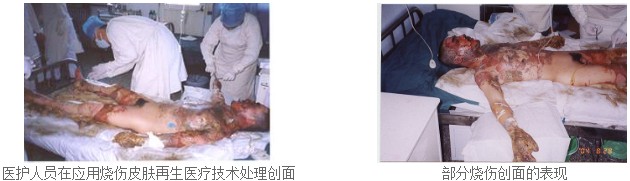 zoty中欧·(中国有限公司)官方网站