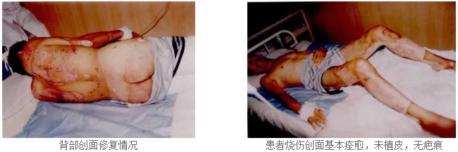 zoty中欧·(中国有限公司)官方网站