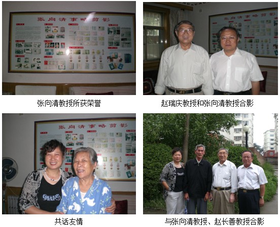 zoty中欧·(中国有限公司)官方网站