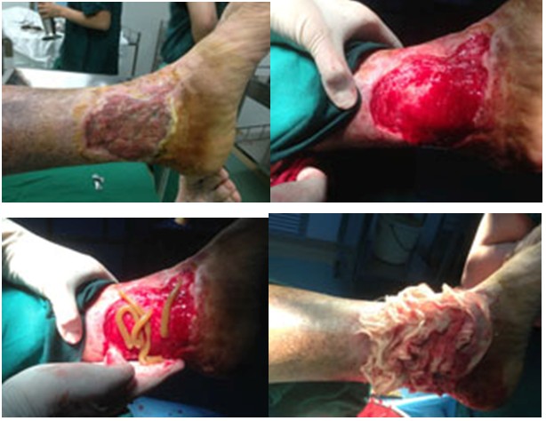 zoty��ŷ��(�й����޹�˾)�ٷ���վ