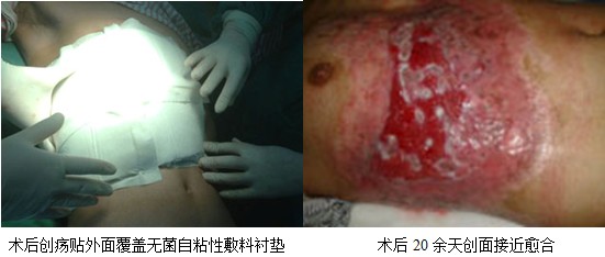 zoty��ŷ��(�й����޹�˾)�ٷ���վ