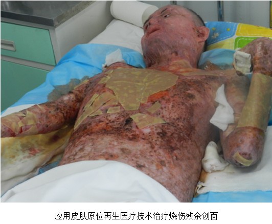 zoty��ŷ��(�й����޹�˾)�ٷ���վ