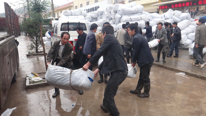 zoty��ŷ��(�й����޹�˾)�ٷ���վ