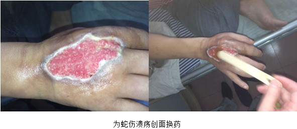 zoty��ŷ��(�й����޹�˾)�ٷ���վ