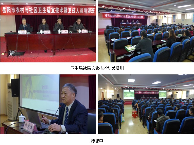 zoty��ŷ��(�й����޹�˾)�ٷ���վ