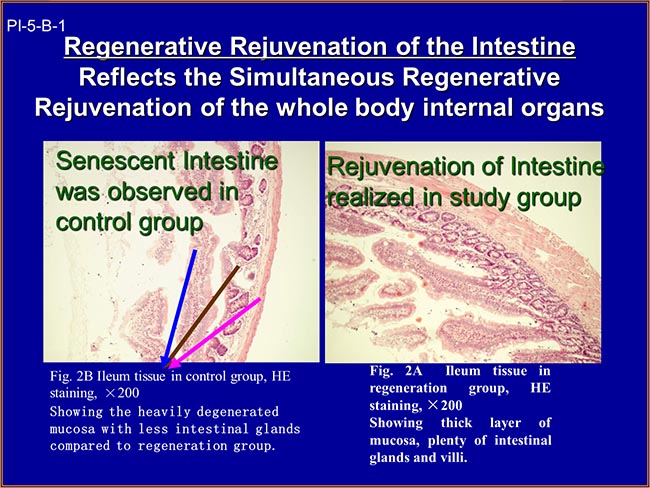zoty��ŷ��(�й����޹�˾)�ٷ���վ