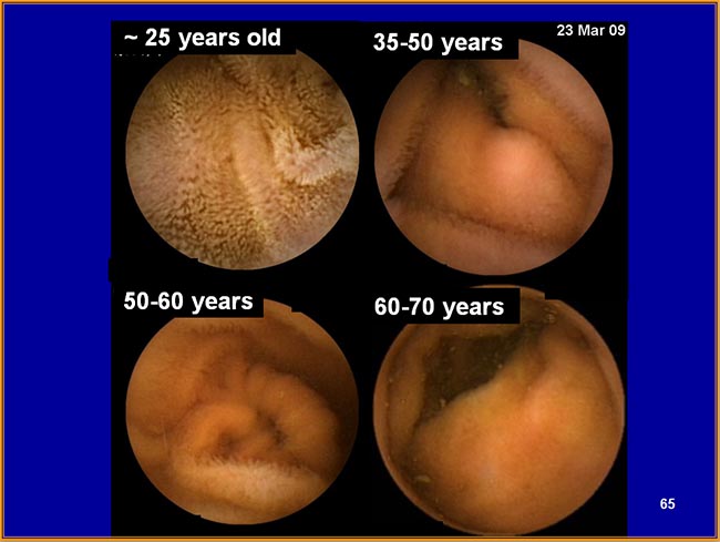 zoty��ŷ��(�й����޹�˾)�ٷ���վ